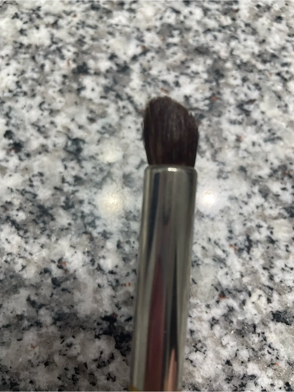 Trish McEvoy Gold Eye Brushes Set